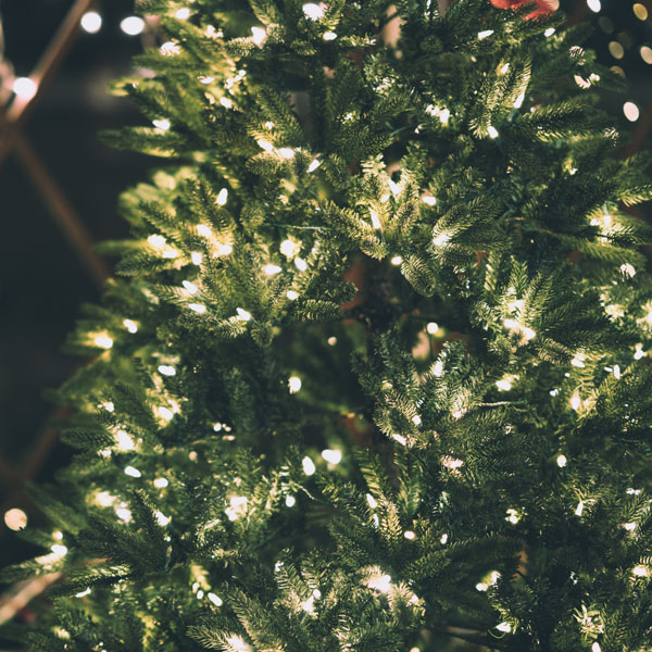 Tableta melt de Árbol de Navidad - Imagen 2
